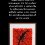 Cesare Catania Exposition Dart Contemporain A Monaco