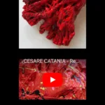 Cesare Catania Exposition Dart Contemporain A Monaco
