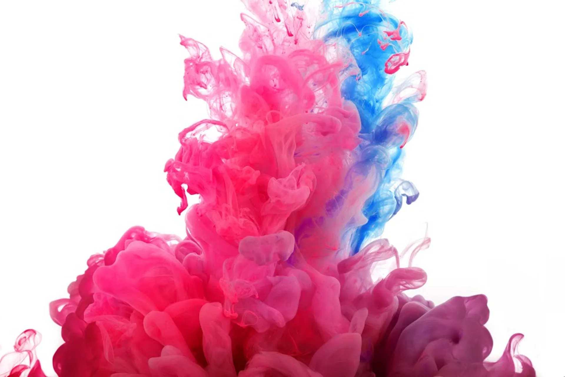 Contemporary art exhibition at the Monza Royal Palace Museum - 06.2019